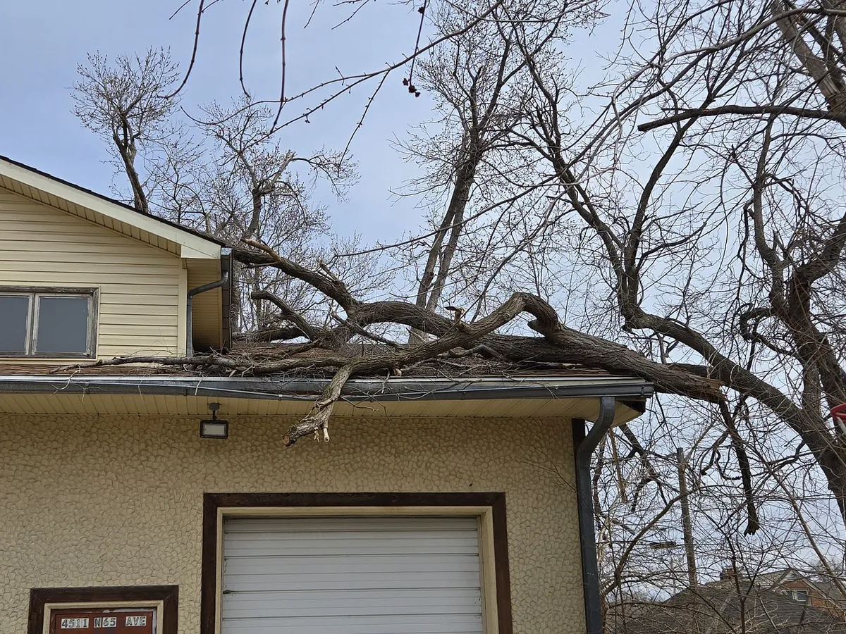 Storm-downed limb resting on a crushed gutter line